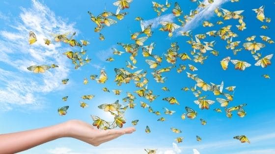 Special COVID 19 Superannuation Condition of Release | Taxwise Australia | (08) 9248 8124